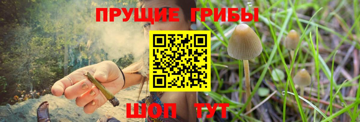 Псилоцибиновые грибы мухоморы  Вход с VPN  Псилоцибиновые грибы Psilocybe  Кумертау 